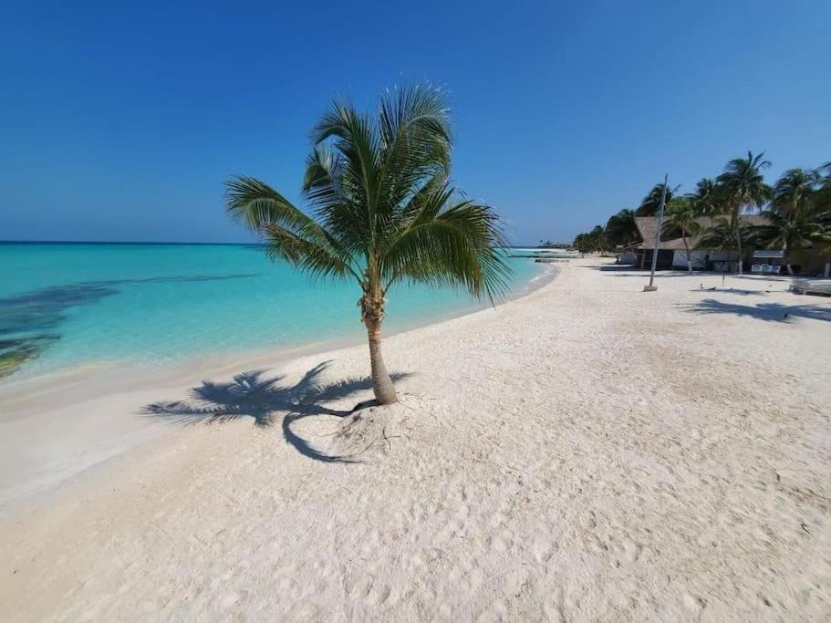 Casa Salina Apartment Isla Mujeres Bagian luar foto